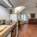 Rent 1 bedroom apartment of 45 m² in Firenze