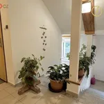 Rent 4 bedroom apartment of 88 m² in Klášterec nad Ohří