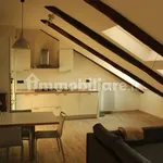 Rent 3 bedroom apartment of 80 m² in Turin