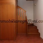 Rent 4 bedroom apartment of 100 m² in Bologna