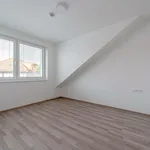 Rent 3 bedroom apartment of 109 m² in Znojmo