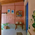 Rent 2 bedroom apartment of 50 m² in Messina