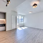  appartement avec 1 chambre(s) en location à Montreal