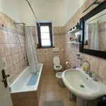 Rent 2 bedroom house of 110 m² in Camaiore