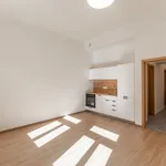 Rent 2 bedroom apartment of 42 m² in Prague