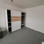 Rent 1 bedroom apartment in Pécs