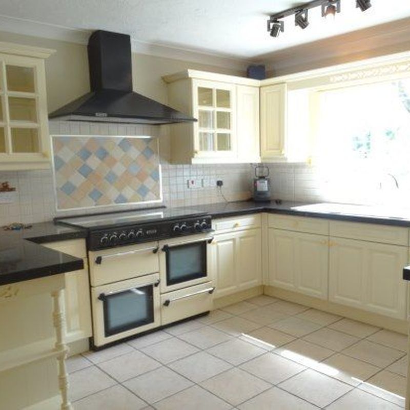 Detached house to rent in Earlsmead, Witham CM8 Chipping Hill