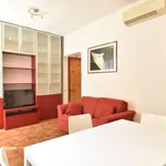 Rent 1 bedroom apartment of 40 m² in rome