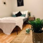 Miete 1 Schlafzimmer wohnung von 45 m² in Erfurt