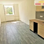 Rent 1 bedroom apartment in Chodov