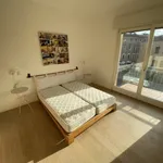 Rent 1 bedroom apartment of 60 m² in Padova