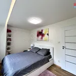 Rent 3 bedroom apartment of 65 m² in Ostrava