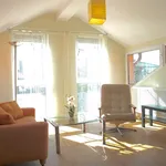 Rent 1 bedroom apartment of 50 m² in Dresden