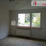 Rent 1 bedroom apartment in Děčín