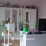 Rent 1 bedroom house of 25 m² in Debrecen