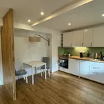 Rent 1 bedroom apartment of 50 m² in Prague