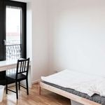 Rent a room of 146 m² in munich