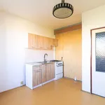 Rent 1 bedroom apartment of 39 m² in Pilsen