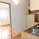 Rent 2 bedroom apartment of 43 m² in Capital City of Prague