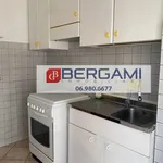 Rent 3 bedroom apartment of 75 m² in Roma