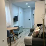 Rent 1 bedroom apartment in seville