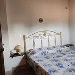 Rent 2 bedroom house of 50 m² in Marsala