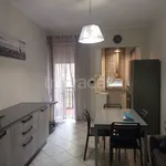 Rent 3 bedroom apartment of 80 m² in Torino