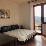 Rent 1 bedroom apartment in Siena