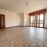 Rent 5 bedroom apartment of 110 m² in Ponte San Nicolò