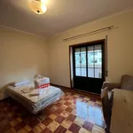 Rent 4 bedroom apartment in Coimbra