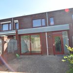 Rent 4 bedroom house of 100 m² in Zandrijk