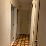  appartement avec 3 chambre(s) en location à Molenbeek-Saint-Jean