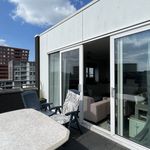 Rent 2 bedroom apartment of 71 m² in Puntenburg
