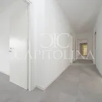 Rent 4 bedroom apartment of 195 m² in Roma