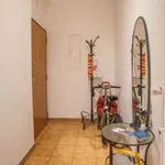 Rent 4 bedroom apartment in Rome