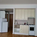 Rent 1 bedroom apartment of 25 m² in Joensuu