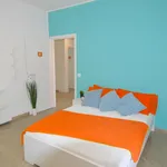 Rent 4 bedroom apartment in Modena