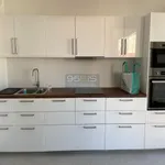 Rent 5 bedroom apartment of 135 m² in Lyon