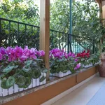 Rent 2 bedroom apartment of 45 m² in rome