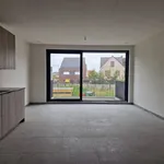 Rent 1 bedroom apartment in Rijkevorsel