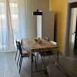 Rent 3 bedroom apartment of 80 m² in Novara