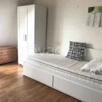 Rent 1 bedroom apartment of 32 m² in Milano