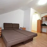 Rent 1 bedroom apartment of 26 m² in Timisoara