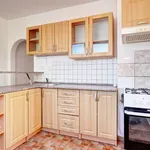 Rent 2 bedroom apartment of 48 m² in Břeclav