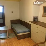 Rent 1 bedroom apartment in Jindřichův Hradec