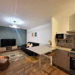 Appartement de 46 m² avec 1 chambre(s) en location à Strasbourg