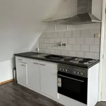 Rent 1 bedroom apartment of 30 m² in Leeuwarden