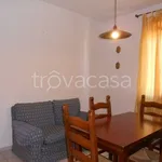 Rent 4 bedroom apartment of 75 m² in Perugia