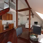 Rent 1 bedroom apartment of 80 m² in Prague