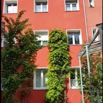 Rent 2 bedroom apartment of 50 m² in Nürnberg